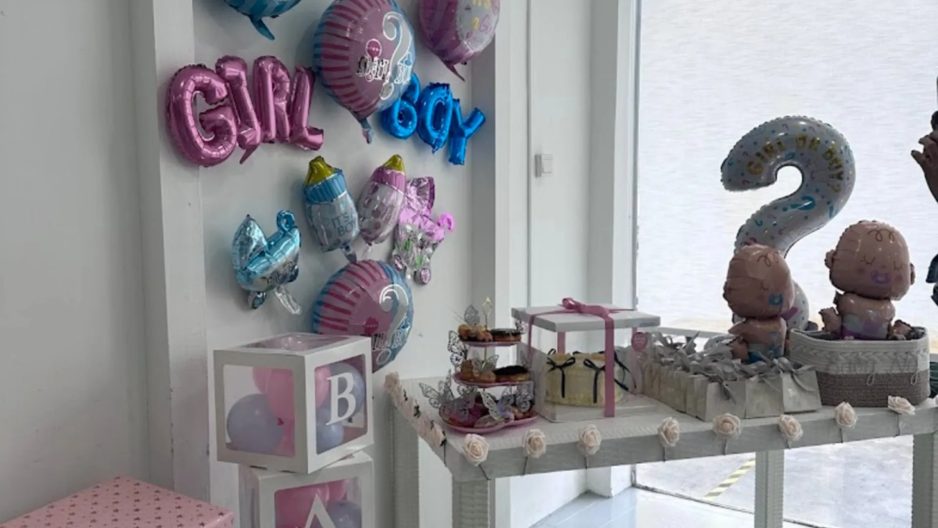Gender Reveal Party